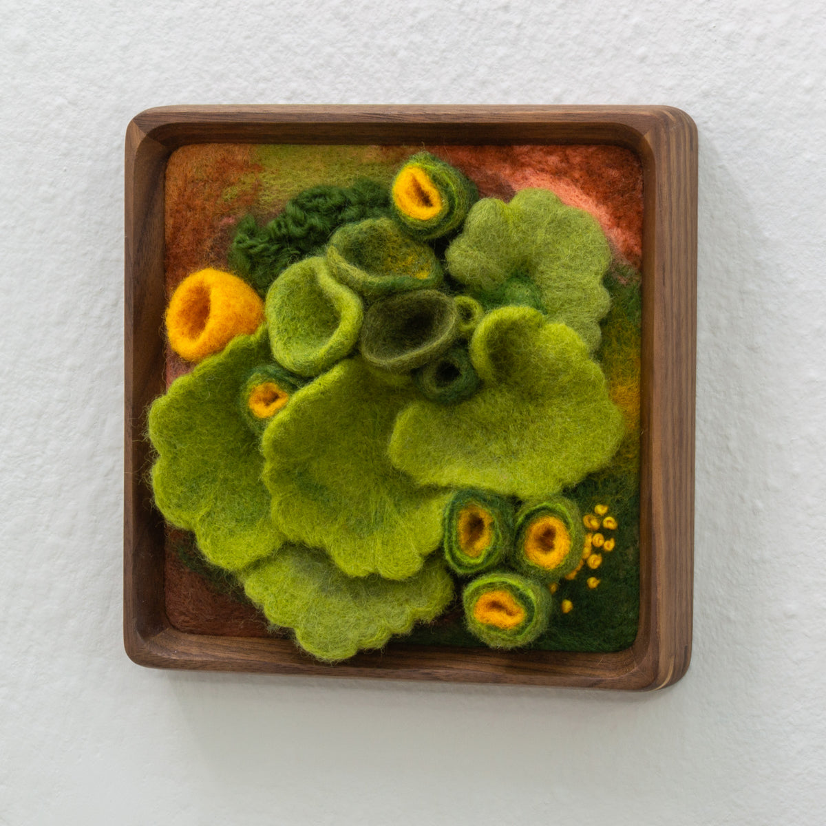 Intermezzo 1 – Amy Reader Artist